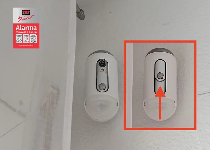 Fmp Ancora サロウ